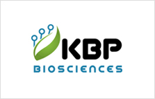 KBP